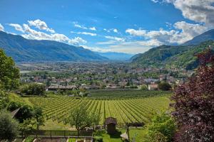 Blick auf einen Weinberg in einem Tal mit Bergen in der Unterkunft Glögglhof in Lana