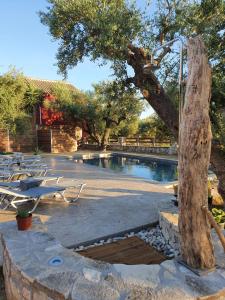 a swimming pool with a tree and lounge chairs at Villa Leïa, luxury villa for 6 people with pool in Kalamaki