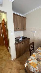 Kuchyňa alebo kuchynka v ubytovaní Dalma Apartment