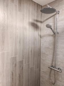 a shower with a shower head in a bathroom at Taikos 14 in Nida