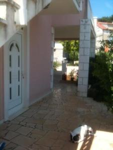 Fotografie z fotogalerie ubytování Apartments Lejla Korčula v destinaci Korčula