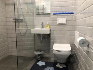 La salle de bains est pourvue de toilettes, d'un lavabo et d'une douche. dans l'établissement Apelsini apartment, à Haapsalu