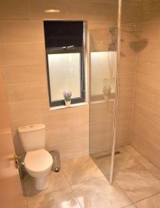 a bathroom with a toilet and a window and a shower at FOYLE VIEW CABIN in Greencastle