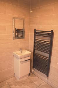 a bathroom with a sink and a mirror at FOYLE VIEW CABIN in Greencastle