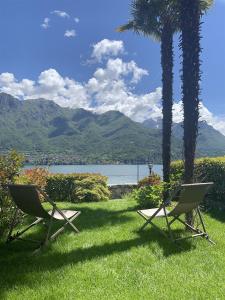 deux chaises assises dans l'herbe à côté d'un palmier dans l'établissement Terrace on the Lake, à Oliveto Lario