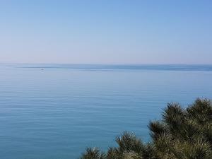 Paesaggio naturale nelle vicinanze dell'affittacamere