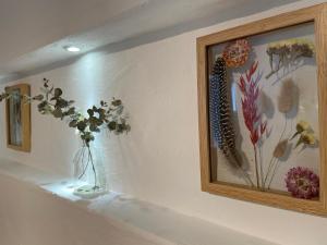Foto sihtkohas Rust asuva majutusasutuse Gästehaus Stefan Koch galeriist