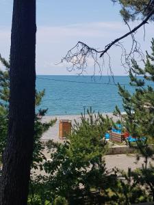 Paesaggio naturale nelle vicinanze dell'affittacamere