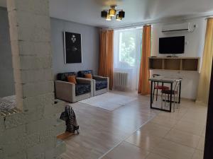 a living room with a television and a zebra standing on the floor at Apartment VIP in Tiraspol