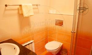 Kúpeľňa v ubytovaní Penzion Salamander