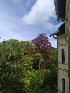 Příroda nedaleko apartmánu