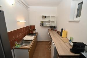a small kitchen with a sink and a counter at Rózsa Vendégház in Tokaj