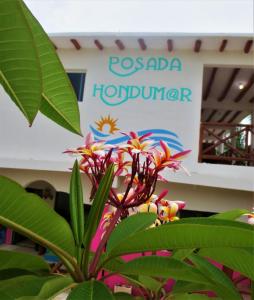 una planta con flores delante de un cartel en Posada Hondumar Holbox en Holbox Island