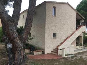 a house with a staircase next to a tree at Monolocale a Rena Majore di Gallura in Rena Majore
