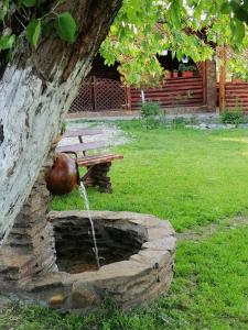 une fontaine dans un parc à côté d'un banc dans l'établissement La Stejarel, à Corbeni