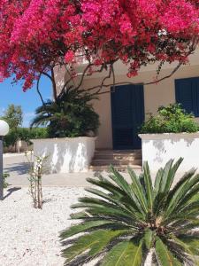 une maison avec des fleurs roses et un palmier dans l'établissement Villa A'mare, à Savelletri di Fasano