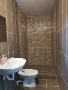 ein Badezimmer mit Waschbecken, Toilette und Dusche in der Unterkunft CASA BIA CRIBO Sannicolau de Munte - bai termale in Săcueni