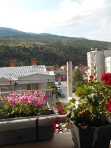 Foto dalla galleria di BFS Apartment a Ohrid