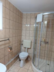 La salle de bains est pourvue d'une douche et de toilettes. dans l'établissement Pensiunea Gheorghita, à Haţeg
