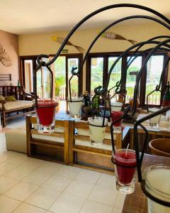 a group of potted plants sitting on a table at Pousada Vila Morena in Itaúnas