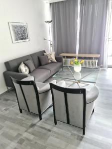 ein Wohnzimmer mit einem Sofa und einem Glastisch in der Unterkunft Apartment`s Nr 2, 2b und 2C in Stuttgart Stadtmitte in Stuttgart