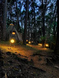 una tenda nel mezzo di una foresta di notte di Glamping The Teepee a Mombeltrán