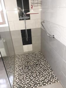 a bathroom with a shower with a glass door at la maison seillere in Senones