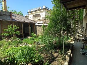 einen Garten mit einem Gebäude im Hintergrund in der Unterkunft Дом у моря с бассейном и сауной in Odessa