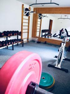 Posilňovňa alebo fitness centrum v ubytovaní Chata pod Obřím hradem
