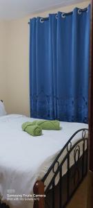 a bed with a blue curtain on top of it at Annettes Place in Naivasha