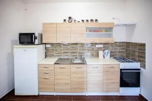 a small kitchen with a sink and a refrigerator at Ubytování Rožmberk nad Vltavou 18 in Rožmberk nad Vltavou