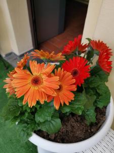 un jarrón blanco lleno de flores naranjas y rojas en La Locanda Di Giada e Giorgia en Pisa