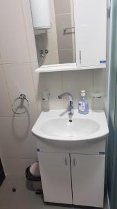 Ένα μπάνιο στο Lux Apartman Bogosavljevic +29 φωτογραφίες