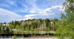 a bridge over a river next to a forest at Citykoti Kuutti in Savonlinna