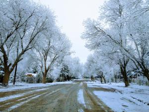 a snow covered road with trees on the sides at Las Flores, casa del valle in Potrerillos