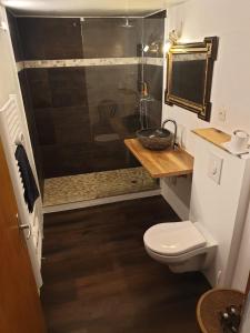 a small bathroom with a shower and a toilet at Le Petit Brouillet du bas in La Brévine