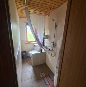 een badkamer met een douche, een wastafel en een toilet bij Rožu 20 in Mērsrags