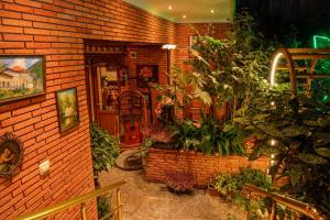 Zahrada ubytování Hotel British House