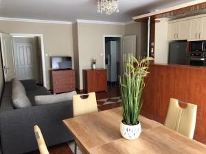 Kuchyň nebo kuchyňský kout v ubytování Alina apartmanok