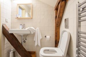 a bathroom with a toilet and a sink at Babyka Apartments in Český Krumlov