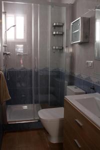 uma casa de banho com um chuveiro, um WC e um lavatório. em Casa José em Rota