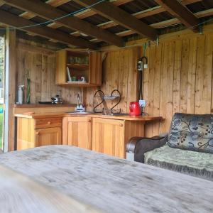 a kitchen with wooden walls and a table and a couch at Rožu 20 in Mērsrags