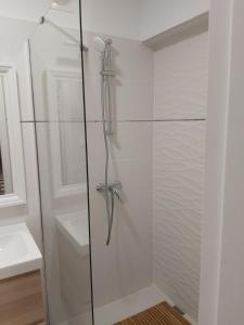 La salle de bains est pourvue d'une douche et d'une porte en verre. dans l'établissement Hello apartman, à Eger