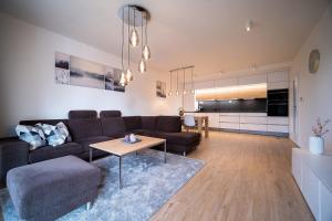 Posezení v ubytování Apartmán Lipnoport