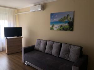 sala de estar con sofá y TV de pantalla plana en Alina apartmanok, en Hajdúszoboszló