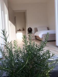 MattarelloにあるAppartment Lodged Mamma Mariaのリビングルーム(緑の植物、ベッド付)