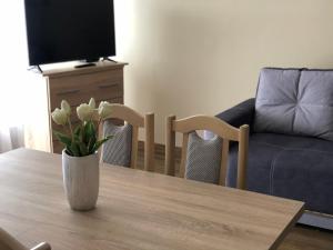 TV a/nebo společenská místnost v ubytování Alina apartmanok