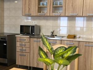 Kuchyň nebo kuchyňský kout v ubytování Alina apartmanok