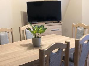 TV a/nebo společenská místnost v ubytování Alina apartmanok