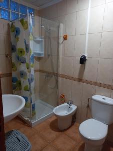 a bathroom with a toilet and a shower and a sink at Apartamentos el Motor Tejeda in Tejeda